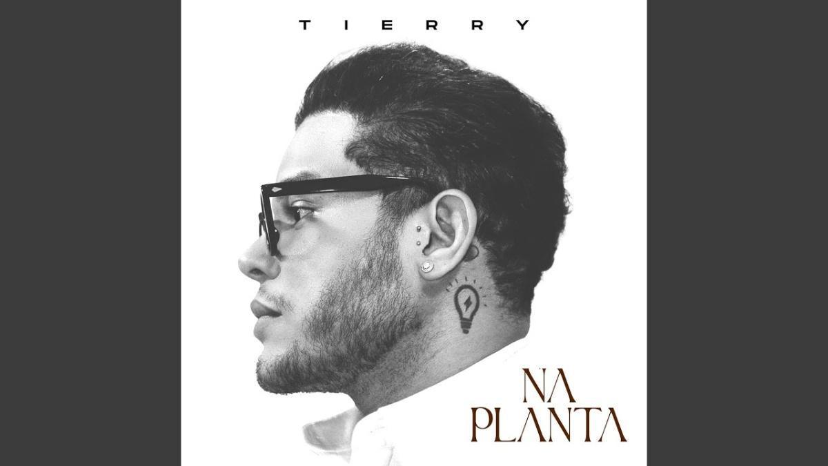 Na Planta - Tierry - Música e Letra