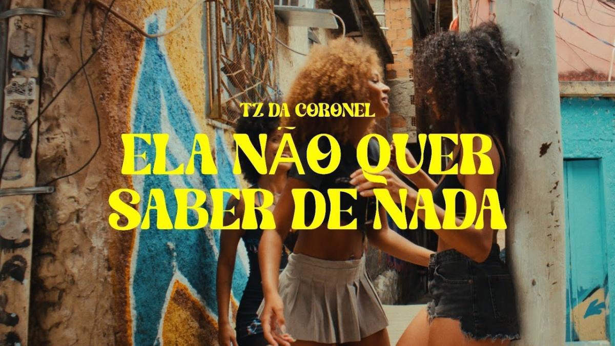 Ela não quer saber de nada - Tz da Coronel - Música e Letra