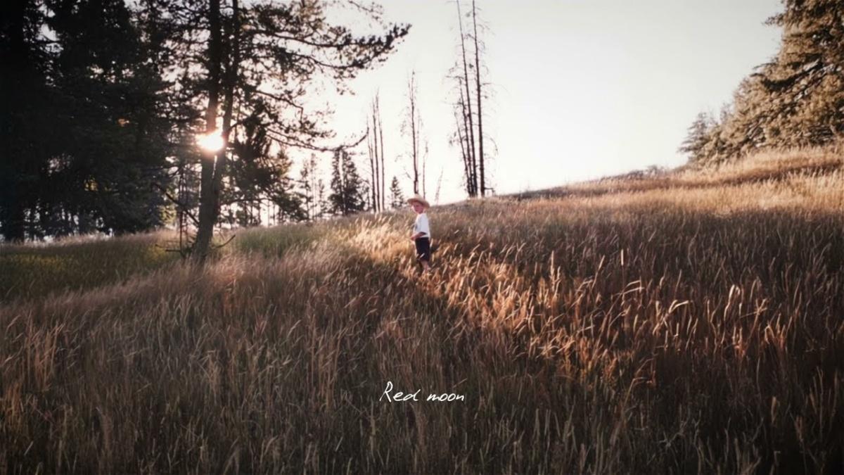 Red Moon - Tom Misch - Música, Letra e Tradução