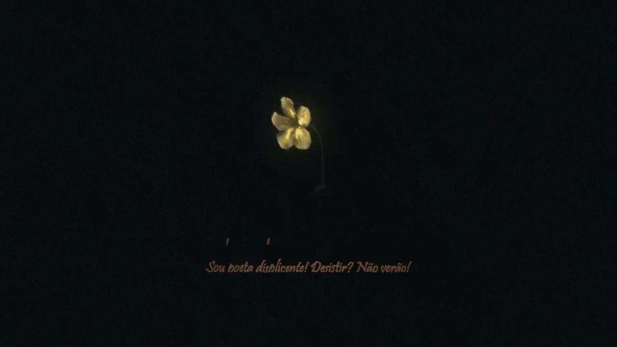 Encarando os Fatos - Akashi Cruz - Música e Letra