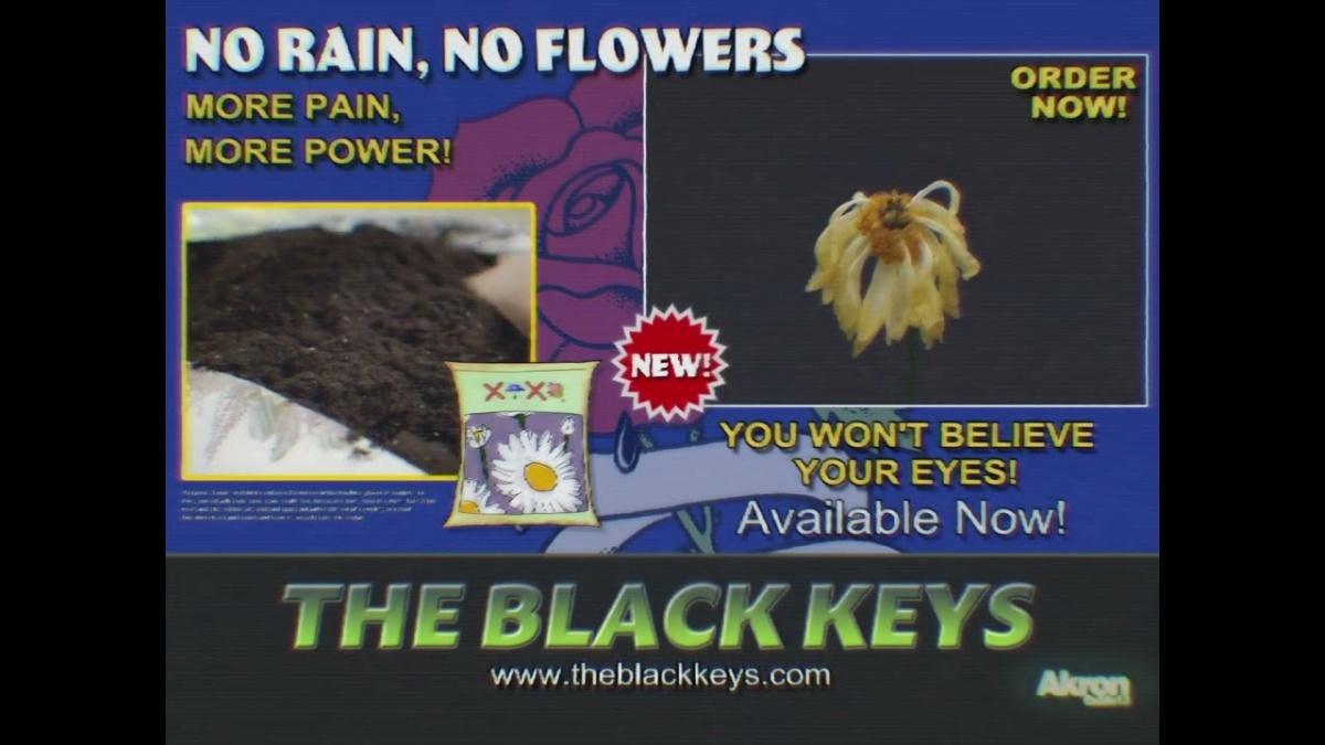 No Rain, No Flowers - The Black Keys - Música, Letra e Tradução