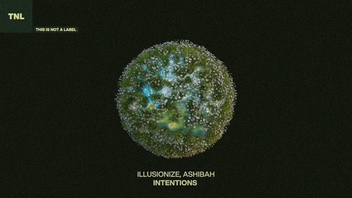 Intentions - Illusionize, Ashibah - Música e Letra