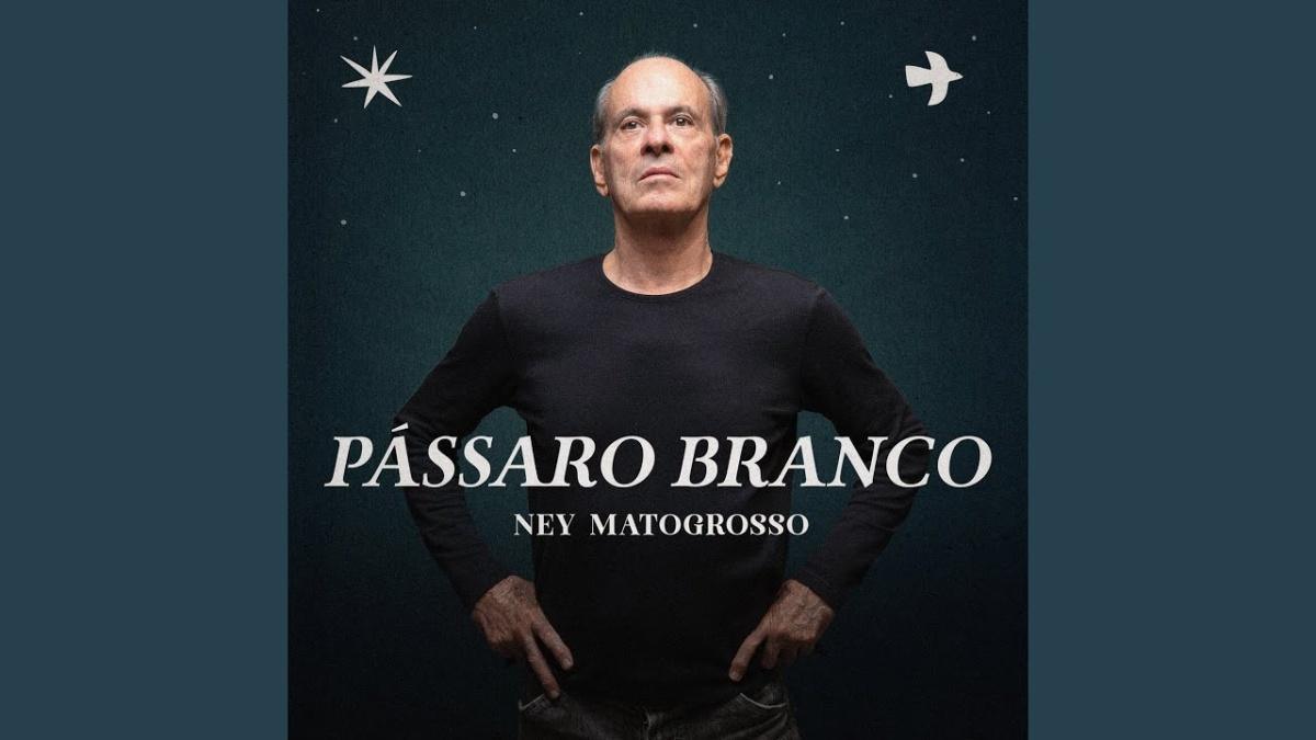 Pássaro Branco - Ney Matogrosso - Música e Letra
