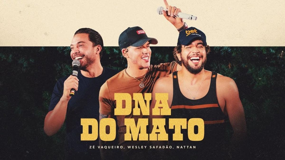 DNA do Mato - Zé Vaqueiro, Wesley Safadão, NATTAN - Música e Letra