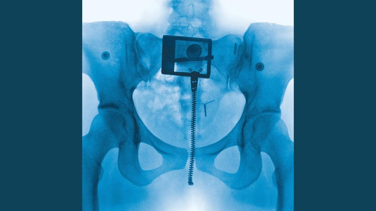 Shapeshifter - Lorde - Música, Letra e Tradução Shapeshifter - Lorde - Música, Letra e Tradução