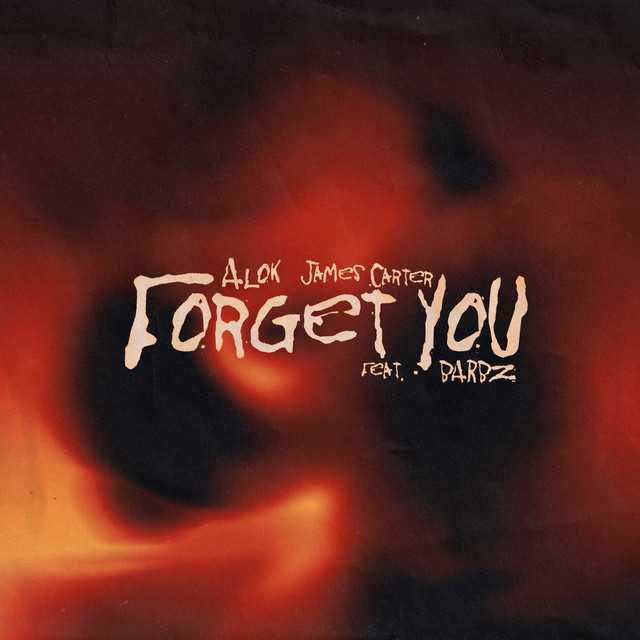 Forget You (feat. Barbz) - Alok - Música e Letra