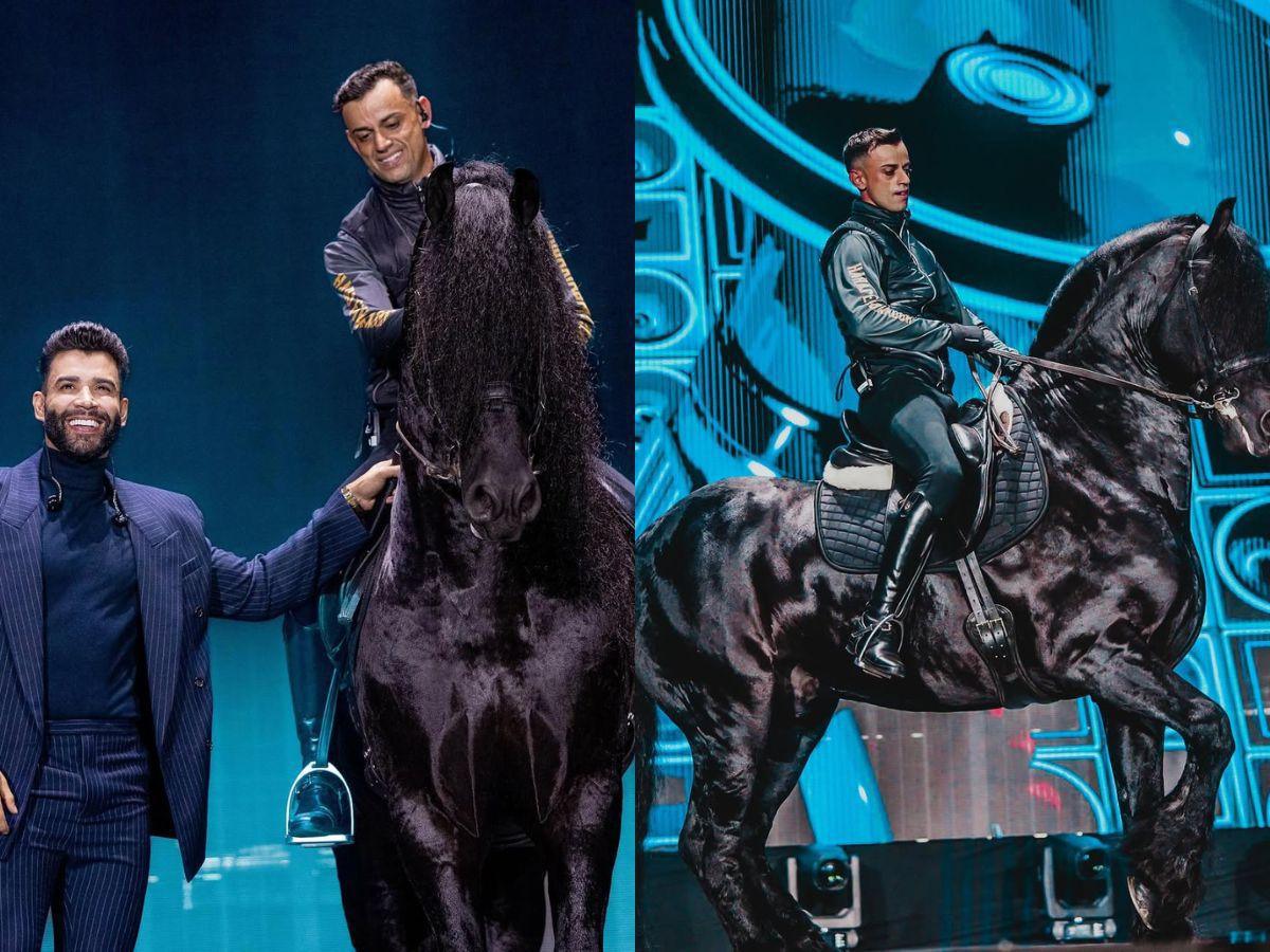 Cavalo famoso em série da Netflix é leiloado em sociedade por Gusttavo Lima