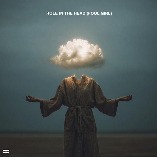 Hole In The Head (fool Girl) - Dubdogz - Música e Letra