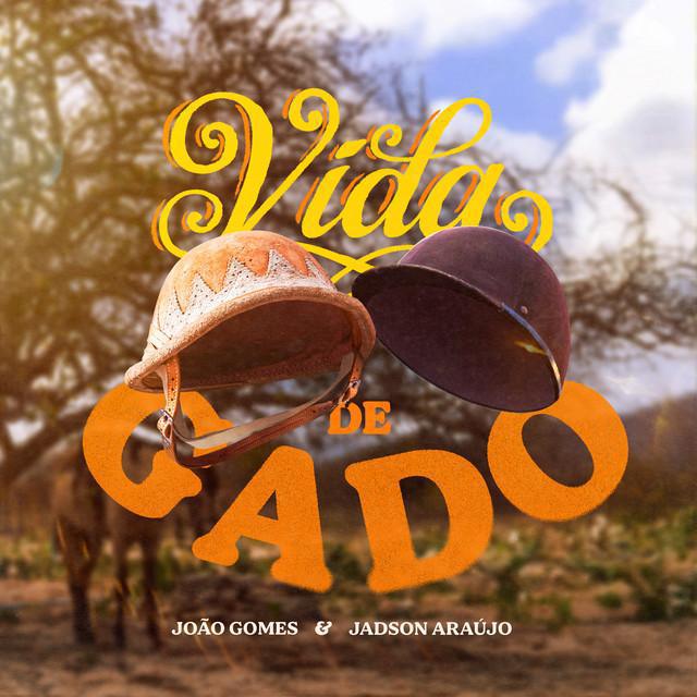 Vida De Gado - João Gomes - Música e Letra