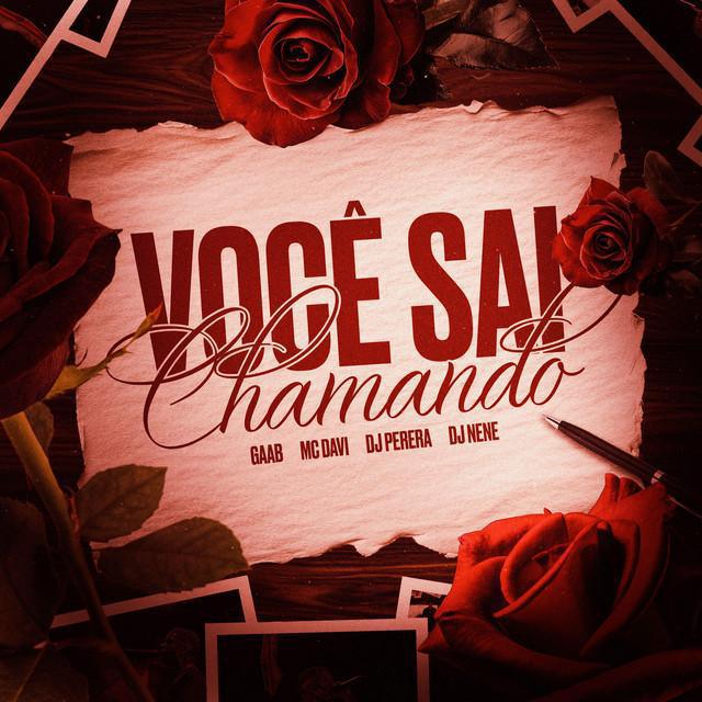 Você Sai Chamando - Gaab, MC Davi, Perera DJ e DJ Nene - Música e Letra