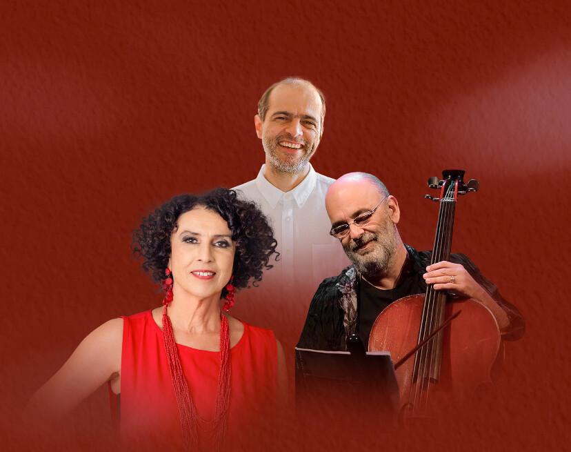 Blue Note SP: Caetano Veloso será homenageado por Moreno Veloso, Jaques Morelenbaum e Paula Morelenbaum