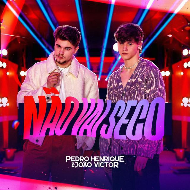 Não Vai Seco - Pedro Henrique e João Victor - Música e Letra