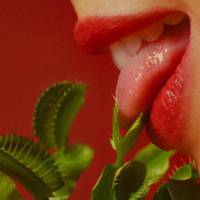 É Segredo - Mariana Volker - Música e Letra É Segredo - Mariana Volker - Música e Letra