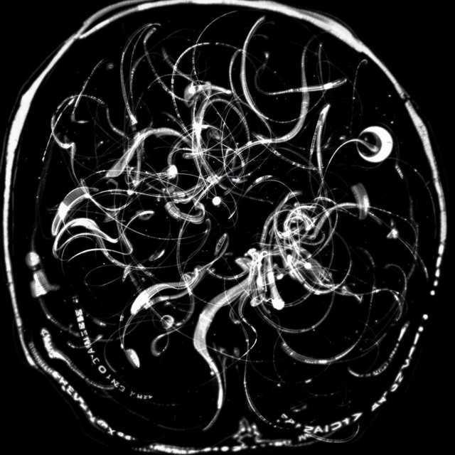Trago Pra City - Froid & Makalister & Cxsta - Música e Letra