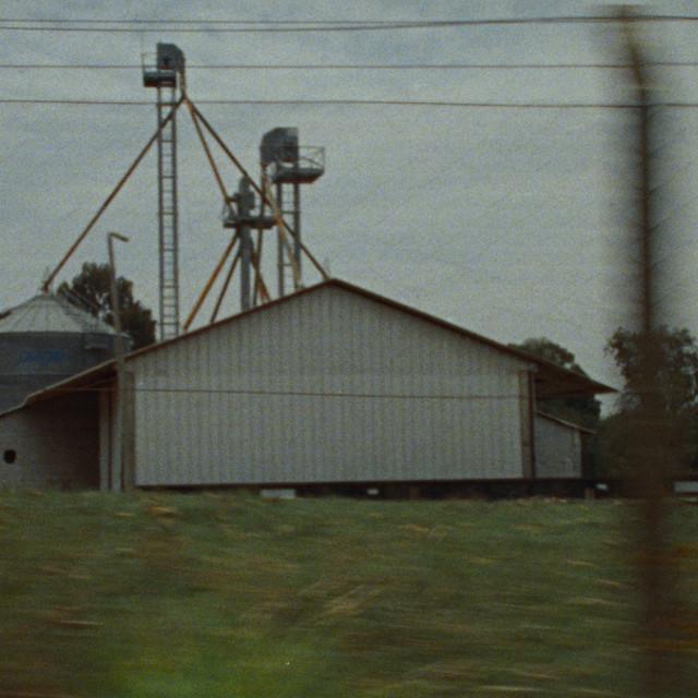 Você Sabe Bem - Jovem Dionisio & Terno Rei - Música e Letra