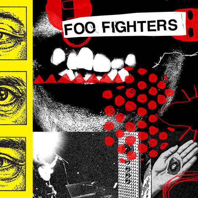 Your Favorite Toy - Foo Fighters | Música, Letra e Tradução