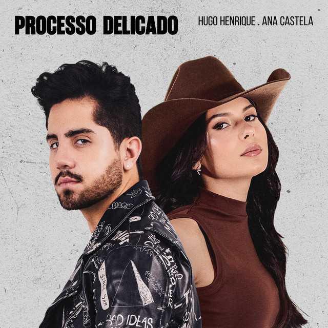 Processo Delicado - Hugo Henrique & Ana Castela | Música e Letra