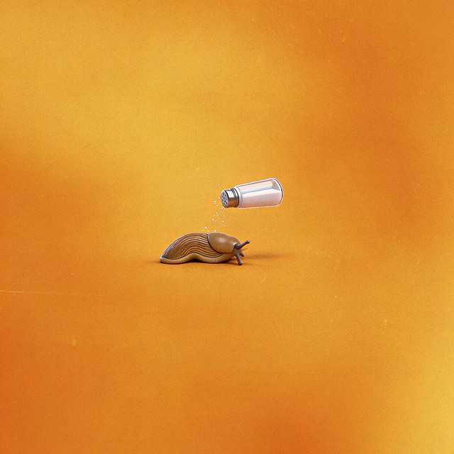 Na Lesma É Sal - DJ Gu & MC Joãozinho VT & MC Vine7 & MC Fr da Norte & MC Tuto & Kako & Mc Dkziin | Música e Letra