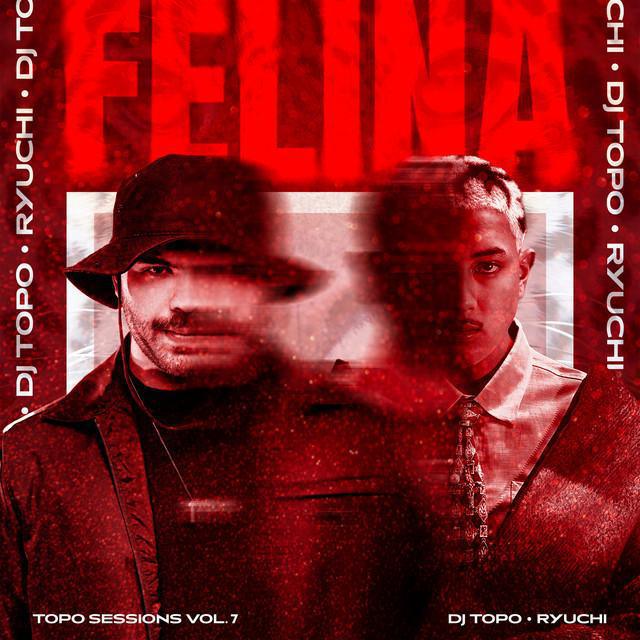 Felina - DJ TOPO, Ryuchi | Música e Letra
