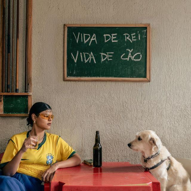 Vida de Rei, Vida de Cão - Amanda Magalhães | Música e Letra Vida de Rei, Vida de Cão - Amanda Magalhães | Música e Letra