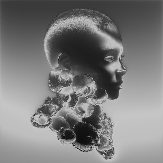 Faded Eyes - Zerb, Khalid | Música, Letra e Tradução Faded Eyes - Zerb, Khalid | Música, Letra e Tradução