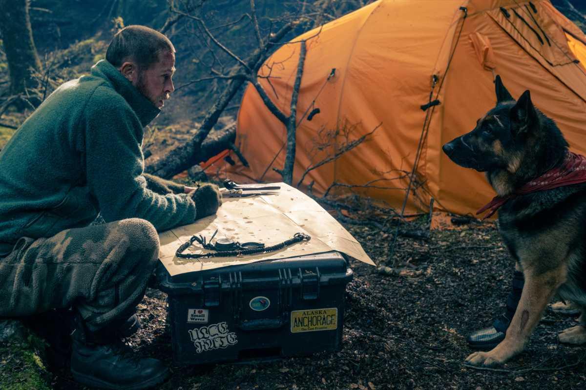 Com Brad Pitt e o cachorro Uber, novo trailer de 'Coração Selvagem' aprofunda atmosfera de tensão e jornada de sobrevivência