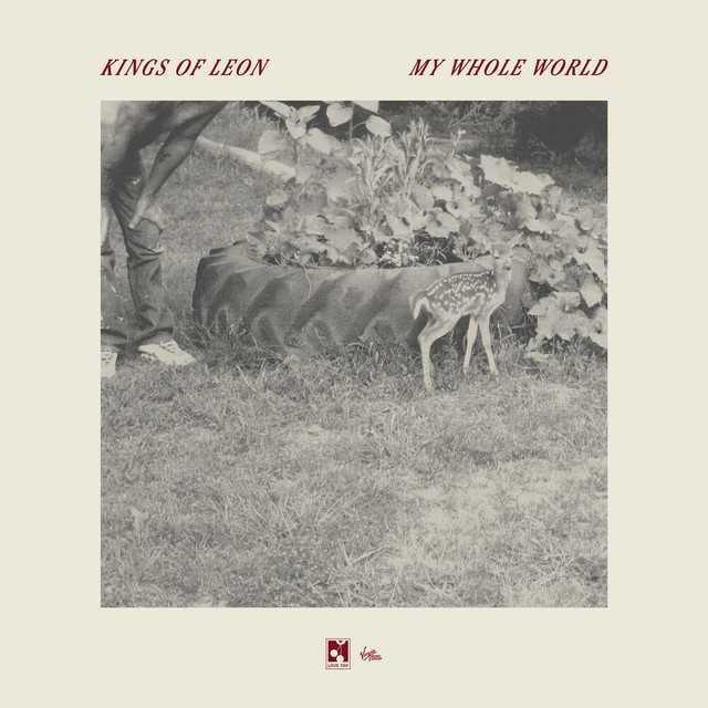 My Whole World - Kings of Leon | Música, Letra e Tradução