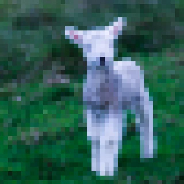 lamb (feat. Kellin Quinn) - Julia Wolf, Kellin Quinn | Música, Letra e Tradução lamb (feat. Kellin Quinn) - Julia Wolf, Kellin Quinn | Música, Letra e Tradução
