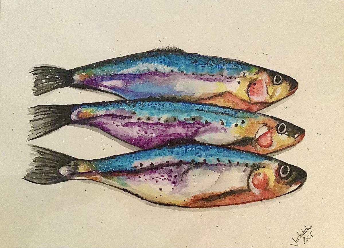 Watercolour Pet Portraits by Julie Whalesby Watercolour Pet Portraits by Julie Whalesby