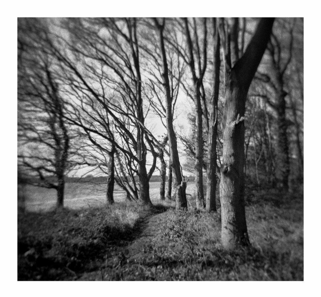 A Journey of Photography by Robbie Goodman A Journey of Photography by Robbie Goodman