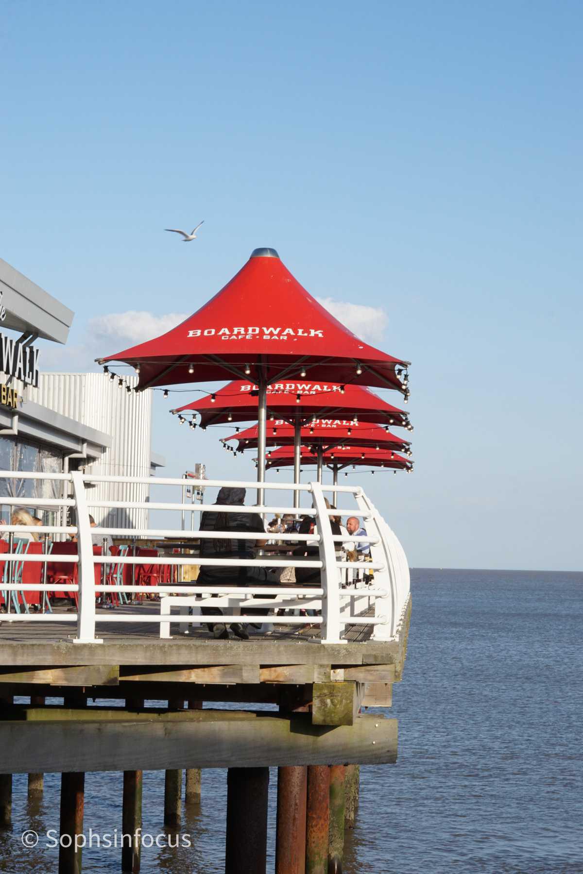 Interview with Soph’s in Focus Interview with Soph’s in Focus