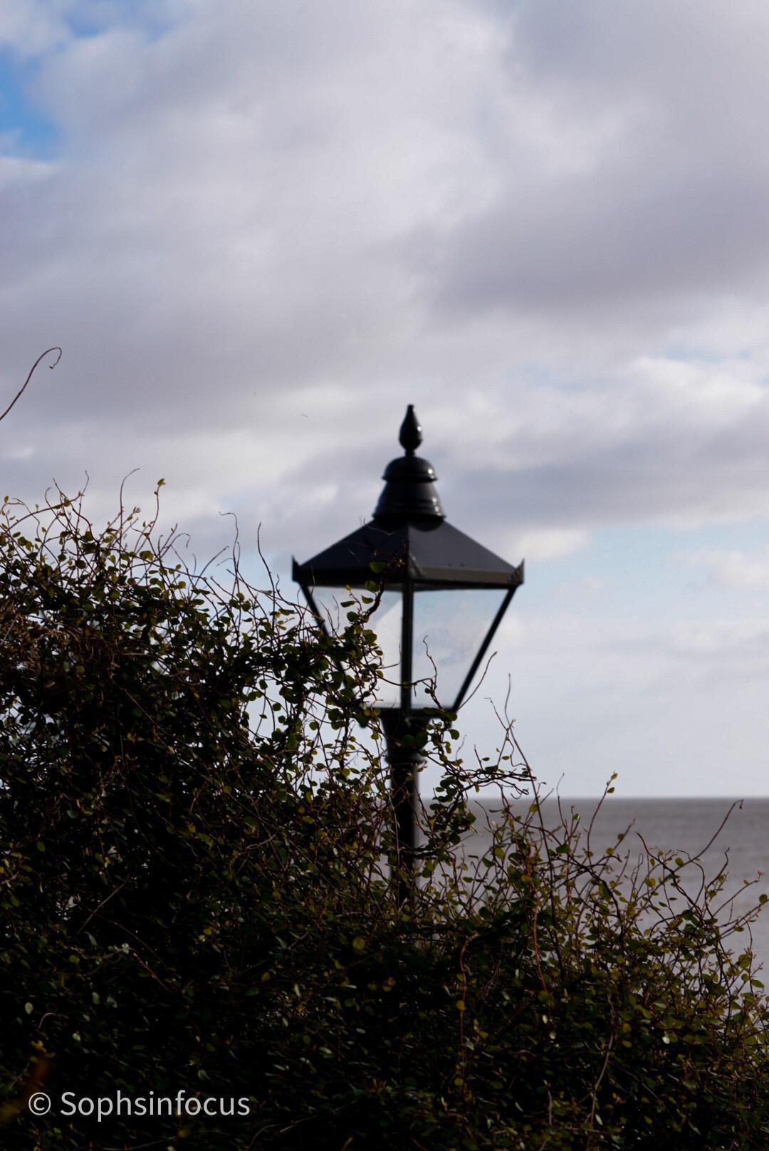 Interview with Soph’s in Focus Interview with Soph’s in Focus