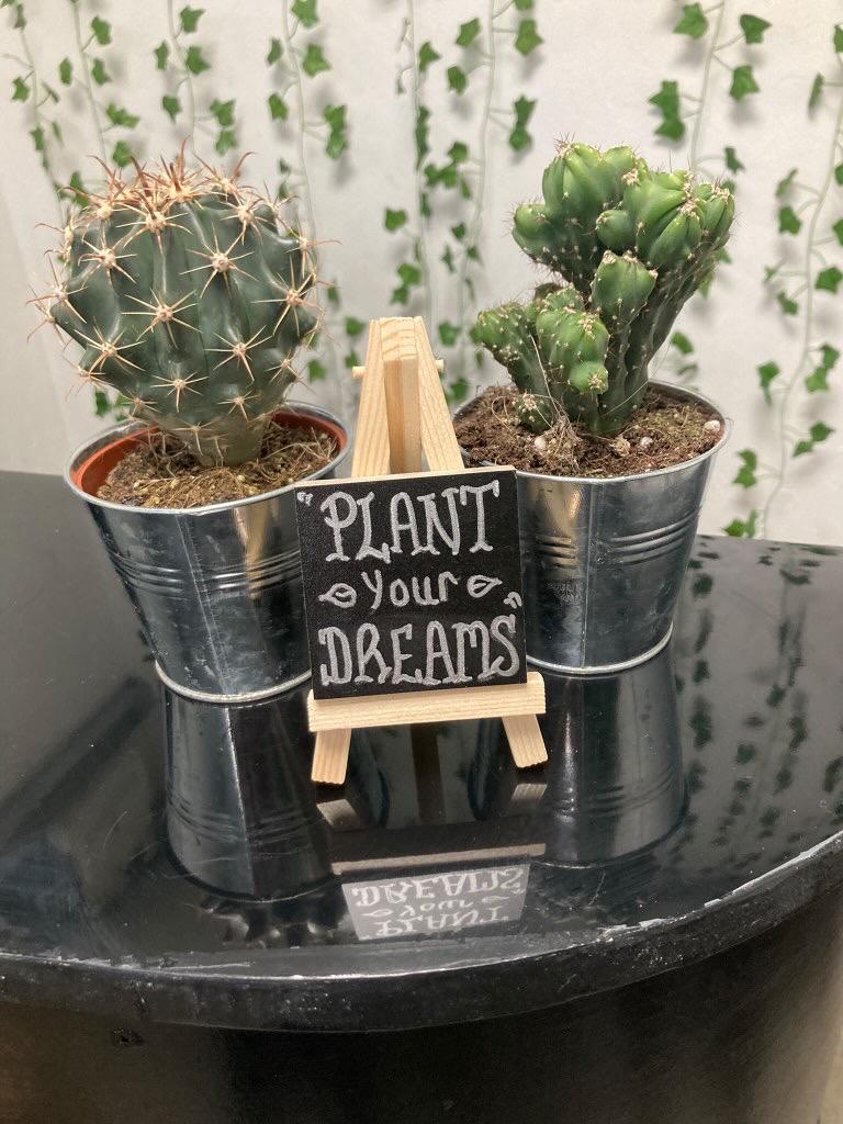 All I Need Is The Plant That I See, by Sophie Hughes All I Need Is The Plant That I See, by Sophie Hughes