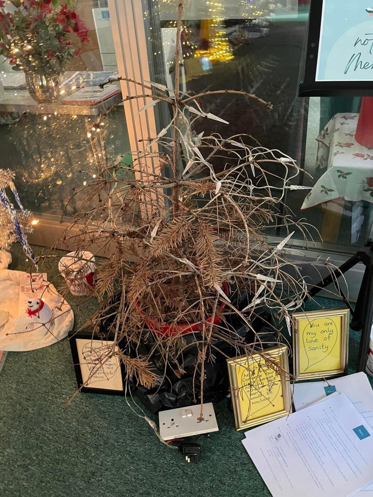 Salvation Army Tree Festival 2022