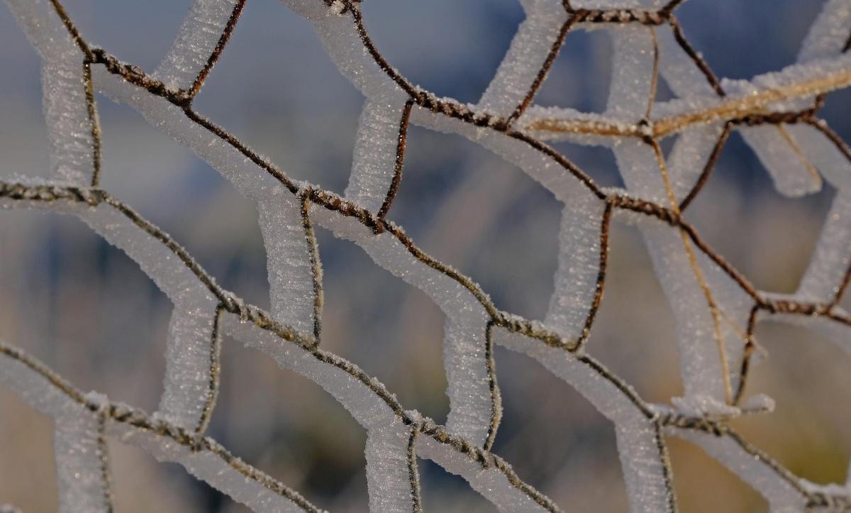 Fog & Frost by Stephen Squirrell