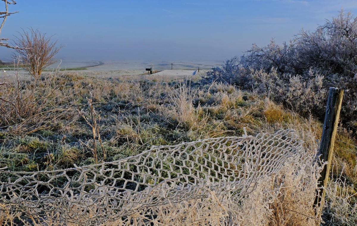 Fog & Frost by Stephen Squirrell