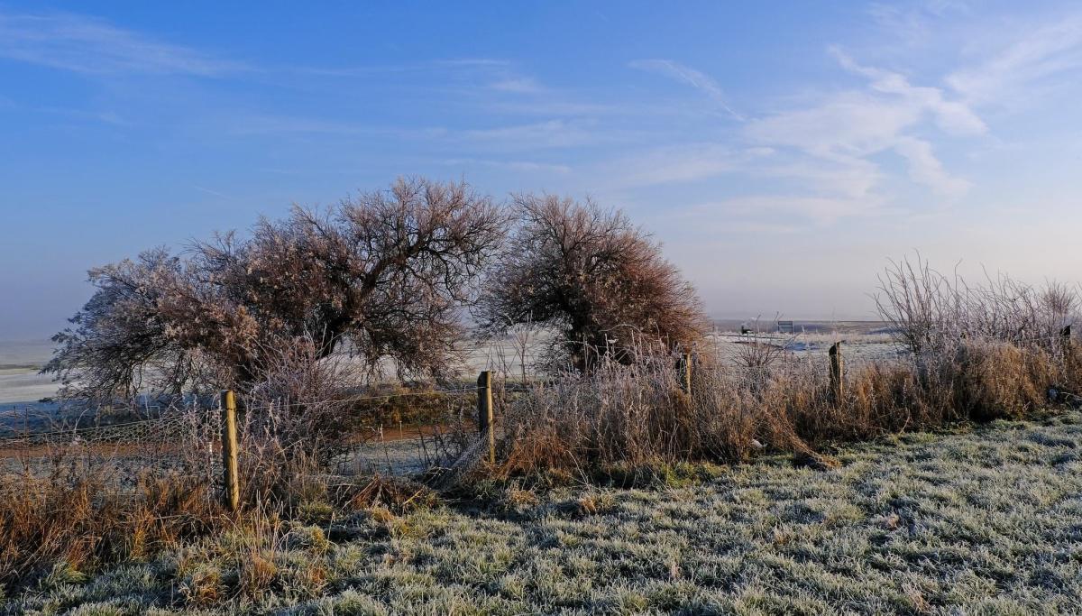 Fog & Frost by Stephen Squirrell