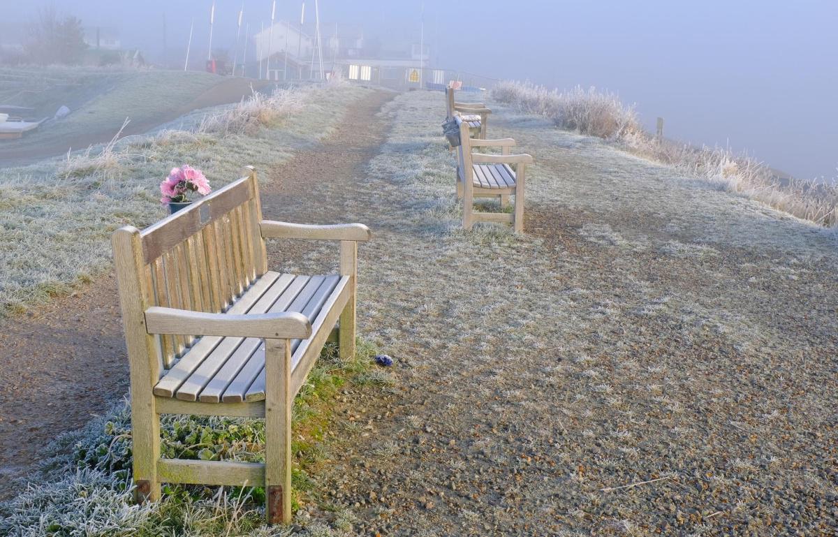 Fog & Frost by Stephen Squirrell