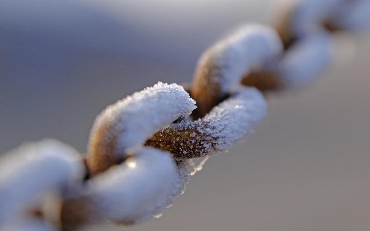 Fog & Frost by Stephen Squirrell