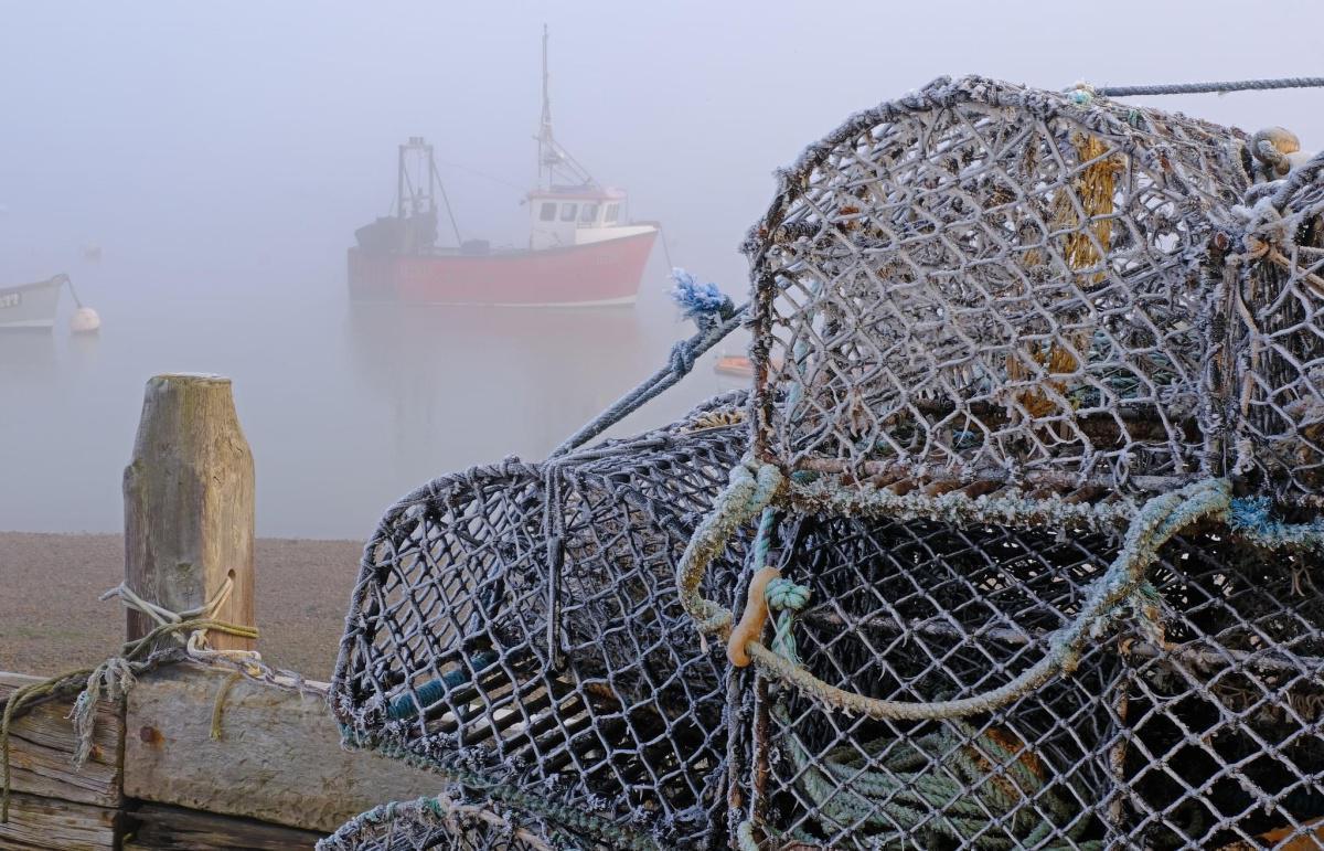 Fog & Frost by Stephen Squirrell