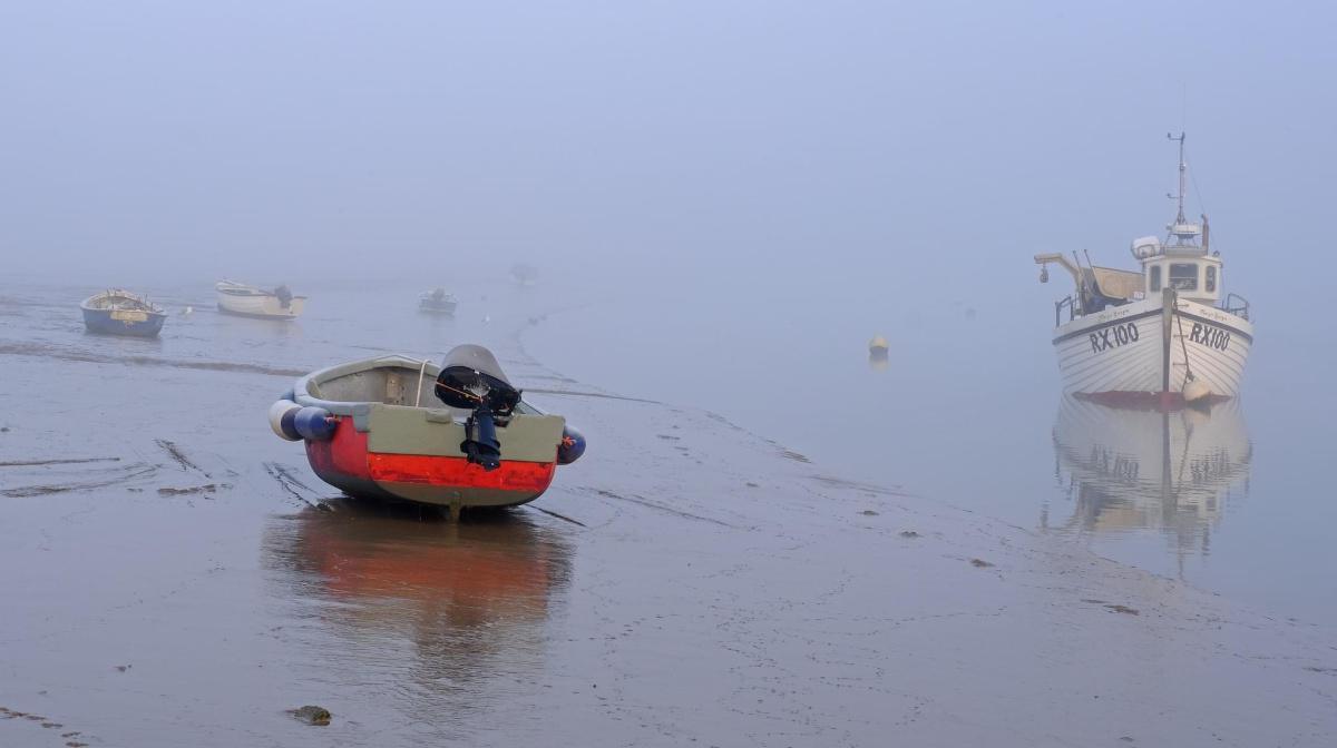 Fog & Frost by Stephen Squirrell