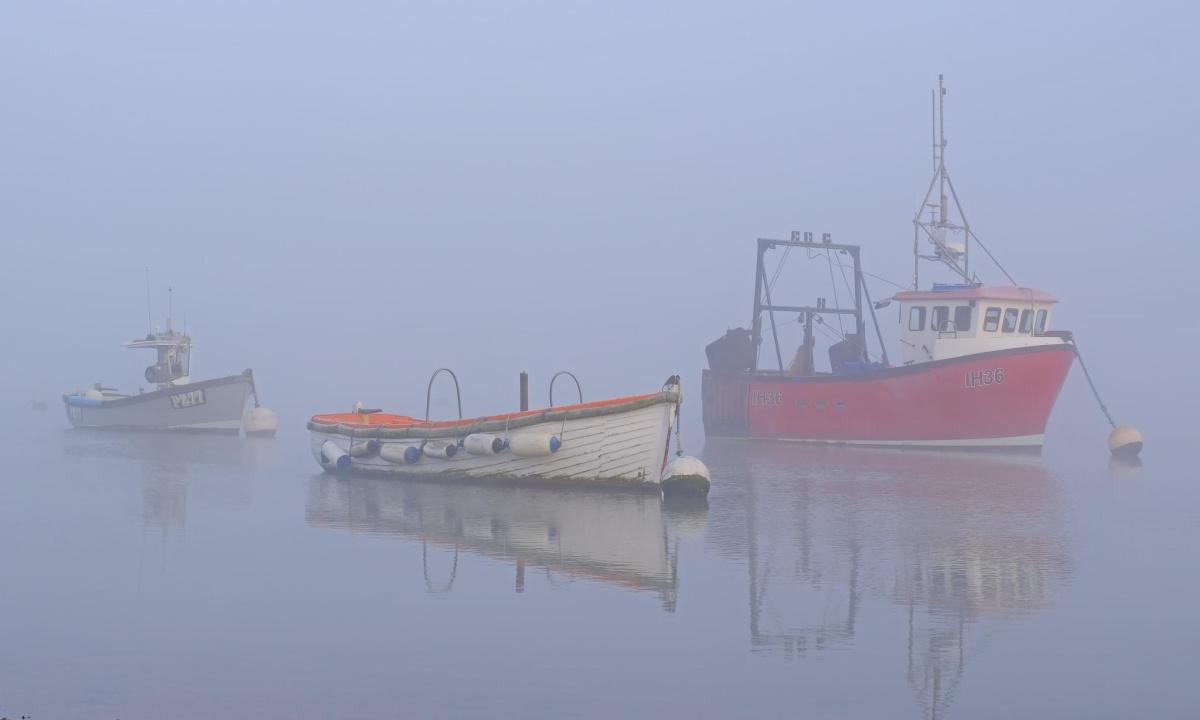 Fog & Frost by Stephen Squirrell