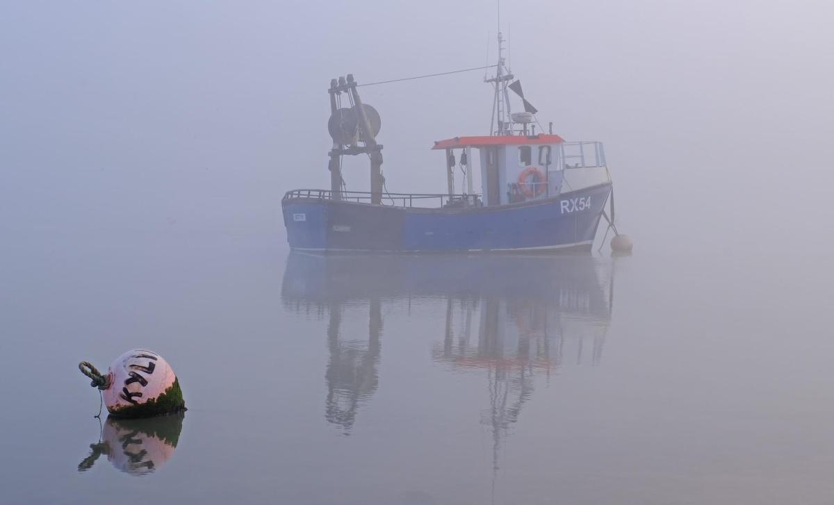 Fog & Frost by Stephen Squirrell