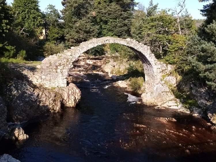 World Porridge Making Championships 2023 by Lisa Williams World Porridge Making Championships 2023 by Lisa Williams