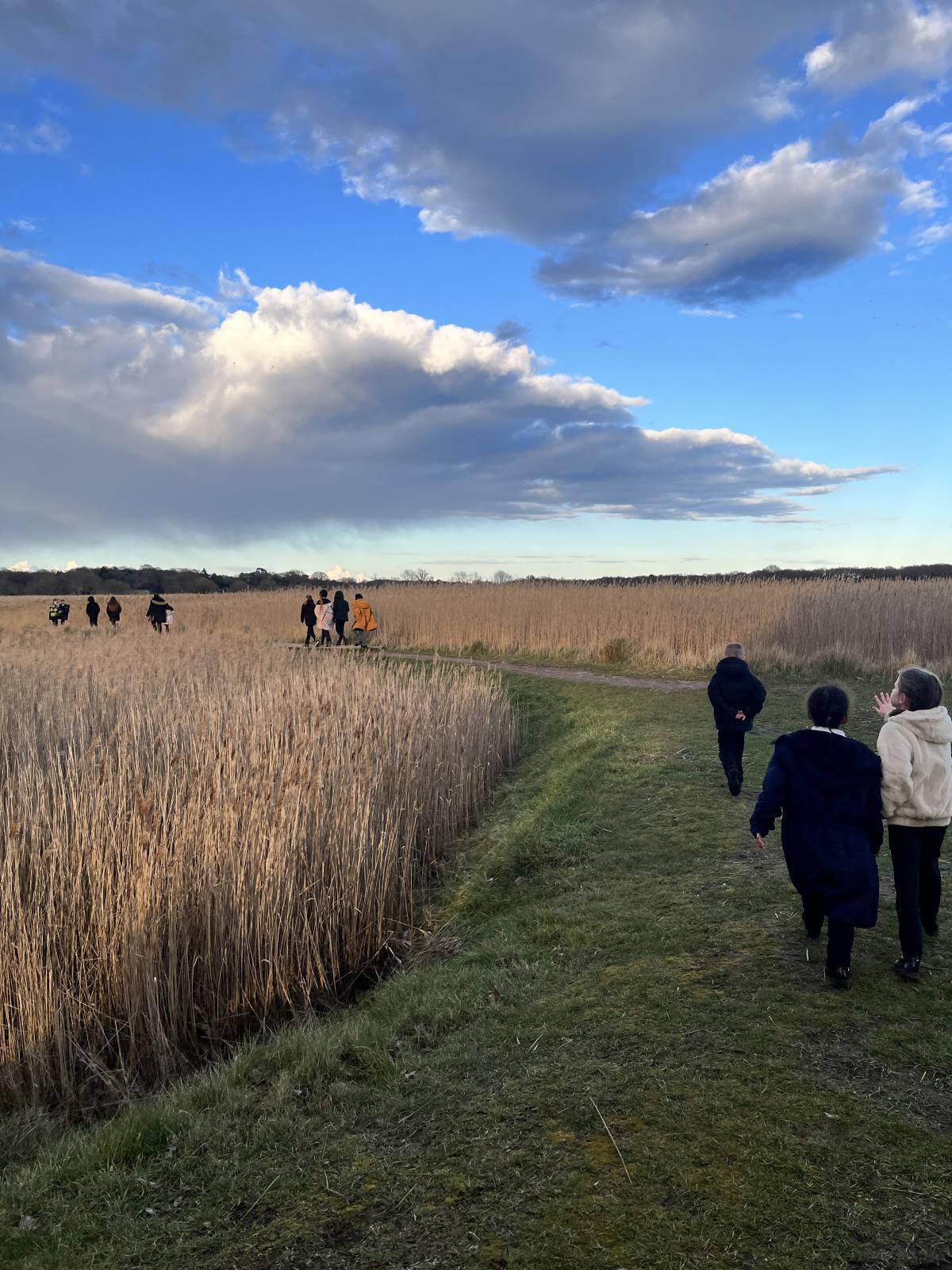 What have Langer Primary been up to? What have Langer Primary been up to?