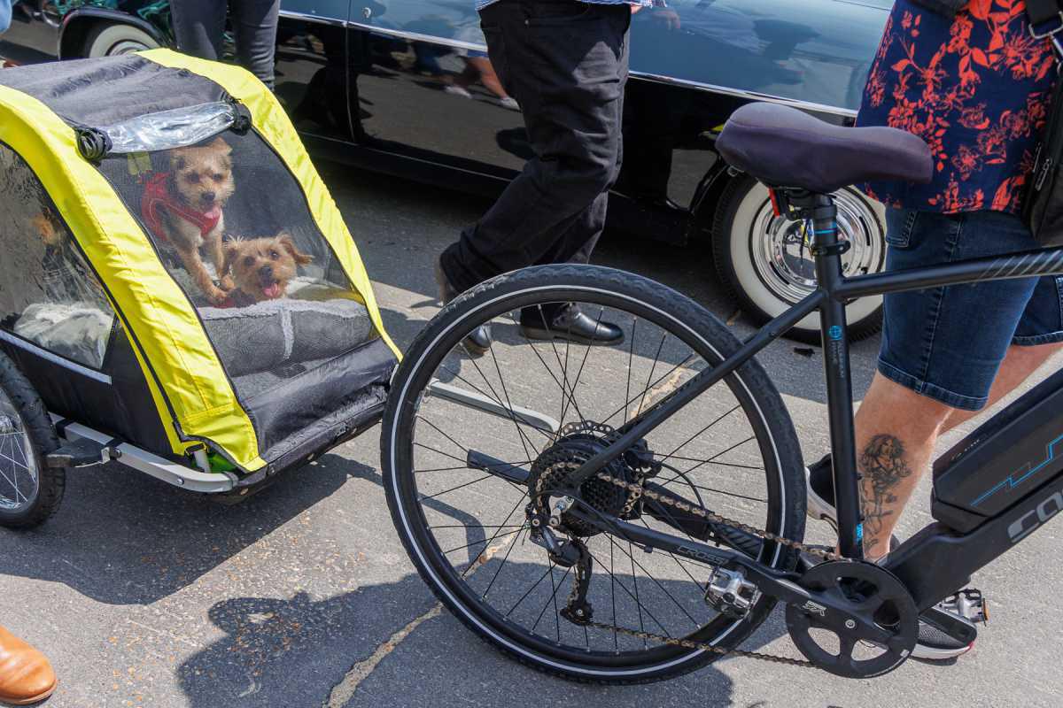 Class Vehicles by Tim Garrett-Moore Class Vehicles by Tim Garrett-Moore