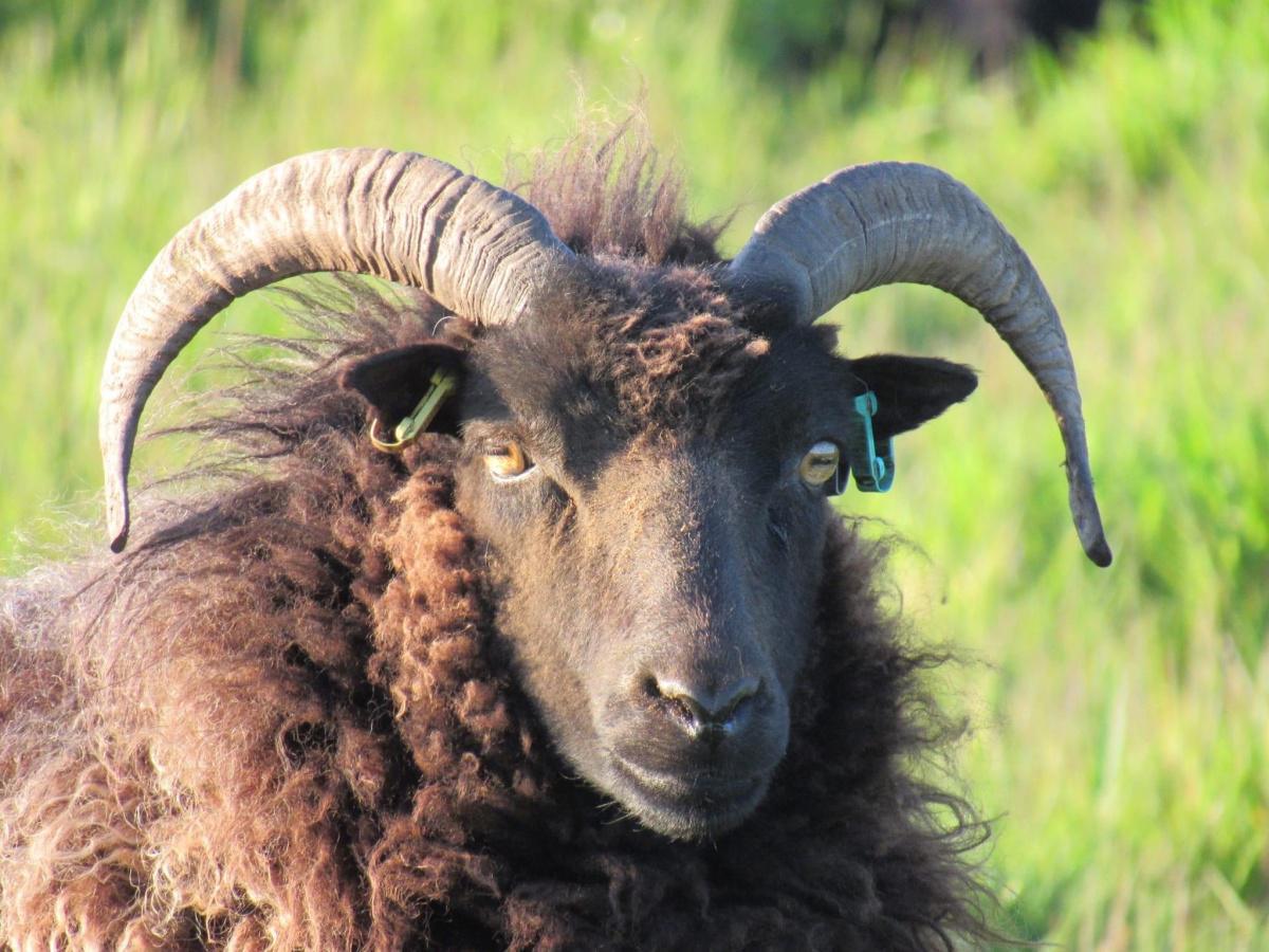 Our Countryside by Swantje Holland Our Countryside by Swantje Holland