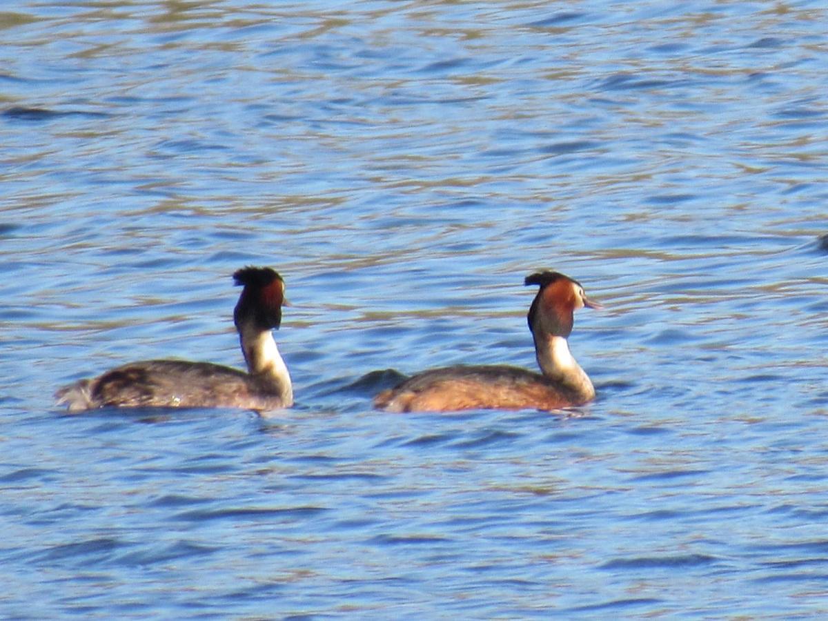 Our Countryside by Swantje Holland Our Countryside by Swantje Holland