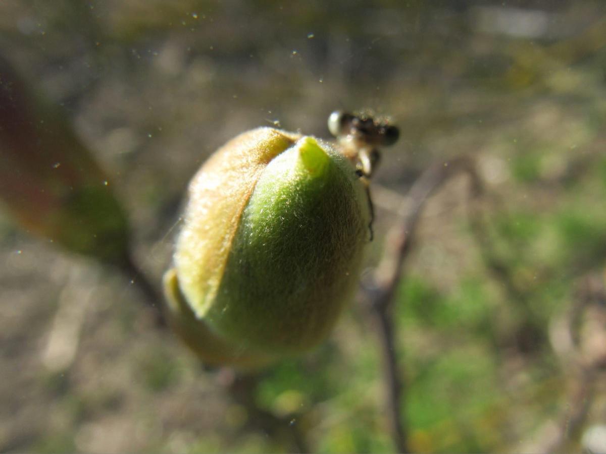 Our Countryside by Swantje Holland Our Countryside by Swantje Holland