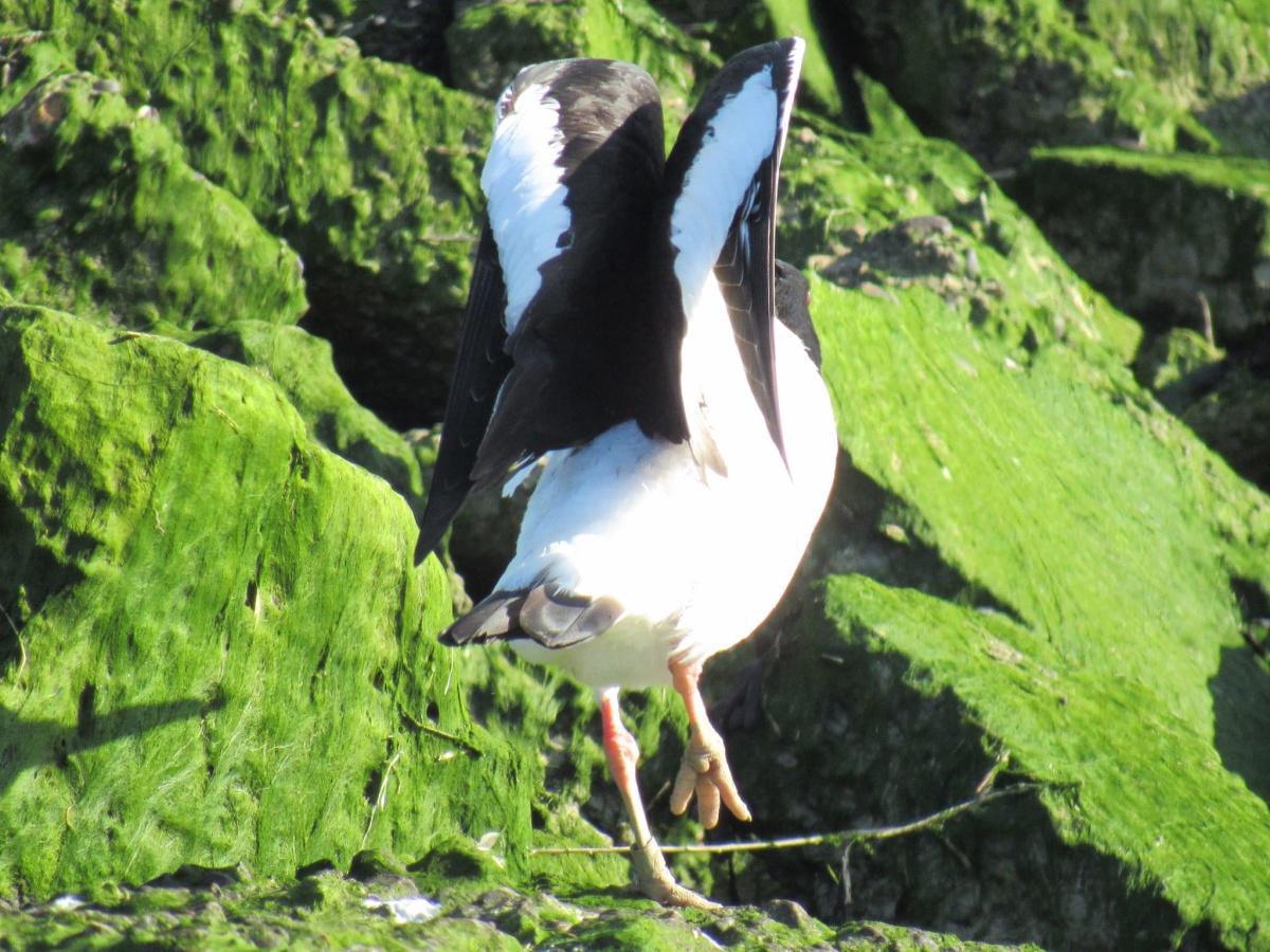 Our Countryside by Swantje Holland Our Countryside by Swantje Holland